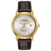 Citizen Stainless Steel Dress/Classic Eco Mens Watch