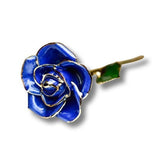 24k Gold Dipped blue roses