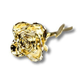 24k Gold Dipped Rose
