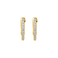 14K Yellow Gold 1/4 CTW Natural Diamond Inside-Outside 14.5 mm Hinged Hoop Earrings
