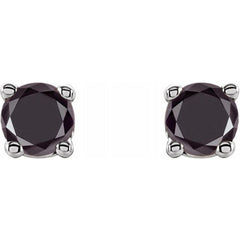 14K White Gold 1/5 CTW Natural Black Diamond Earrings