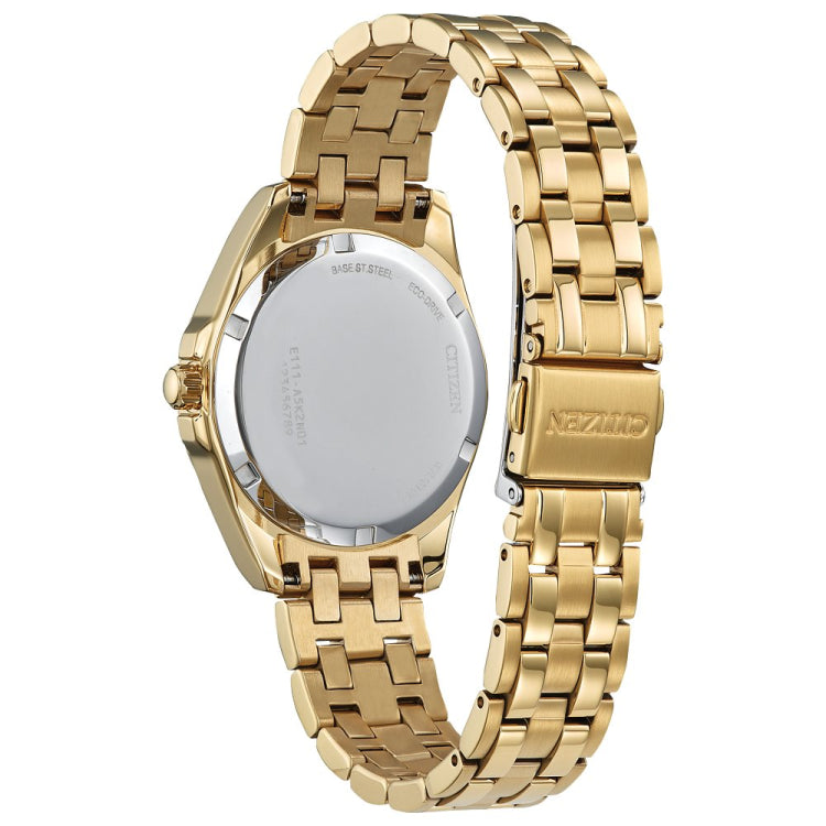 LAD ECO WR100 SSG BRAC CHMP