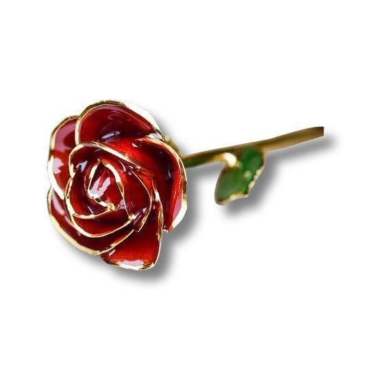 24k Gold Dipped Red rose – Fischer's Jewelry